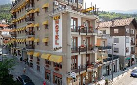 Hotel Elena
